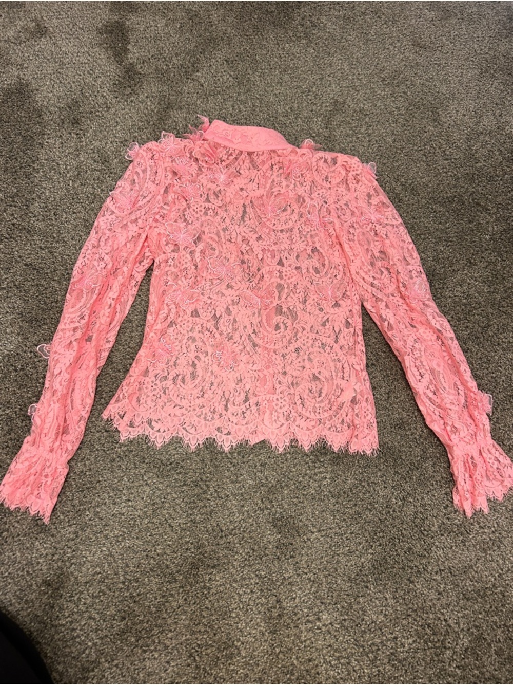 Ina Pink Lace butterfly Long-Sleeve Sheer Blouse